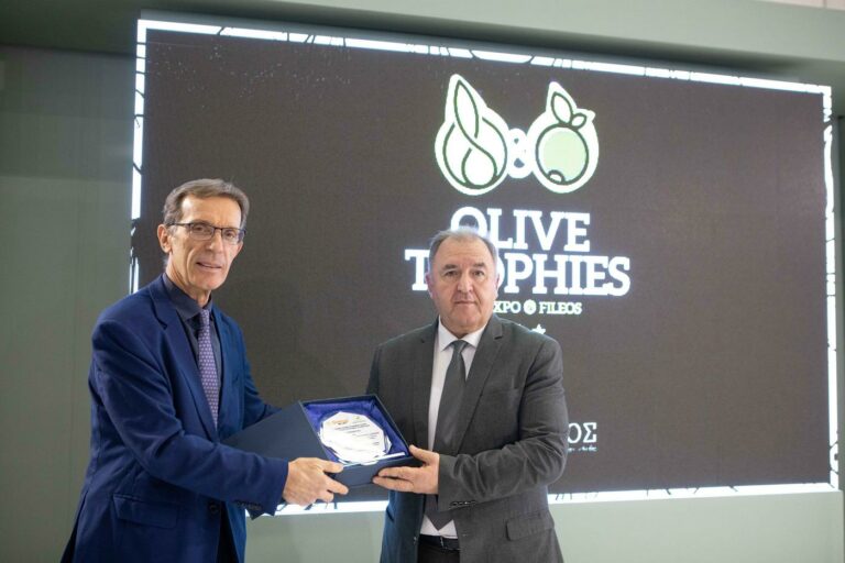 detrop-report-olive-3