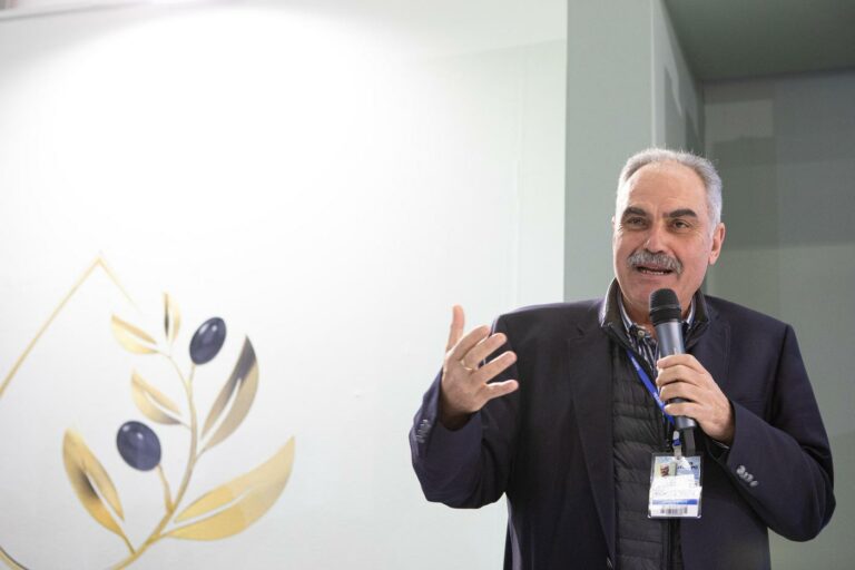 detrop-report-olive-4