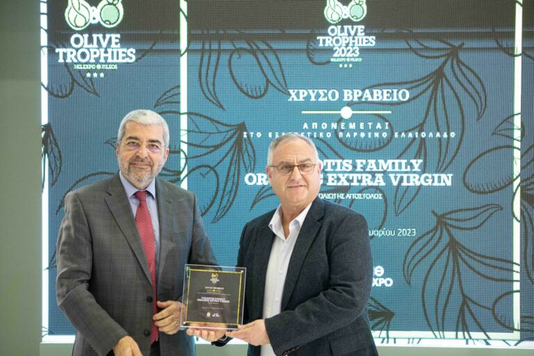 detrop-report-olive-6